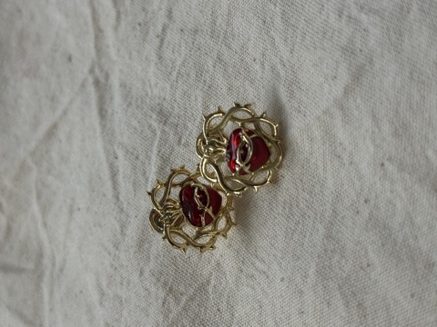 Aretes espinas